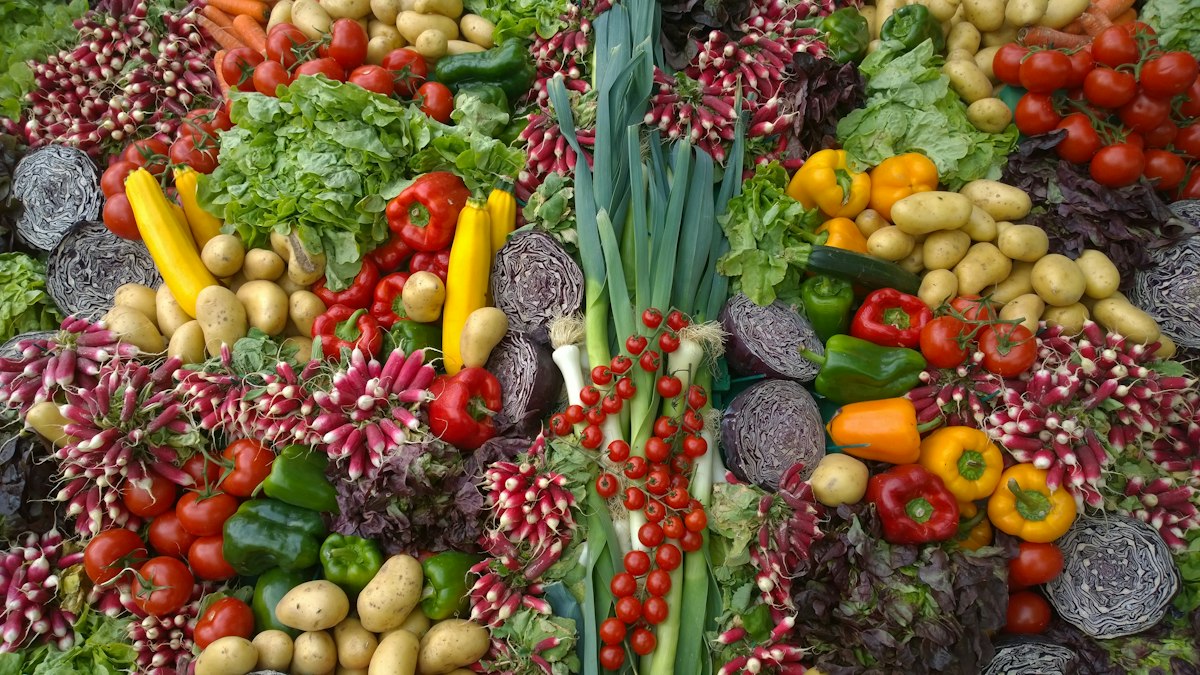Hábitos sostenibles